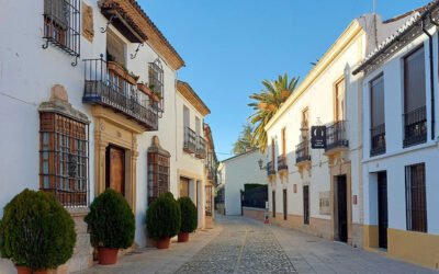 January 2026 – News