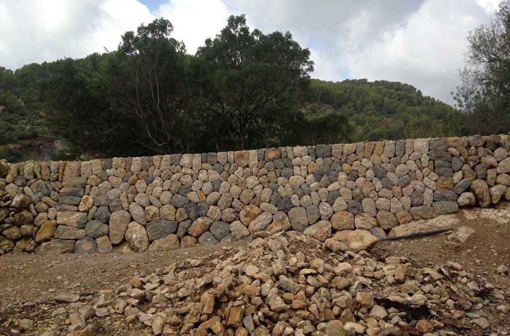 December 2025 – News