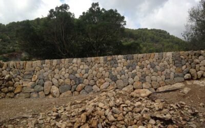 December 2025 – News