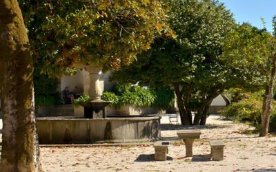 November 2025 – News